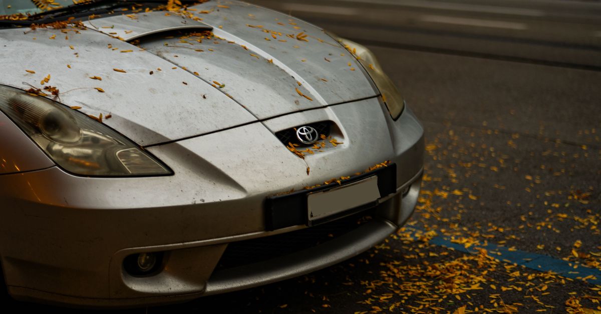 Front view of a silver Toyota sports car parked beside a road, with yellow flower petals scattered across the hood, windshield, and pavement.